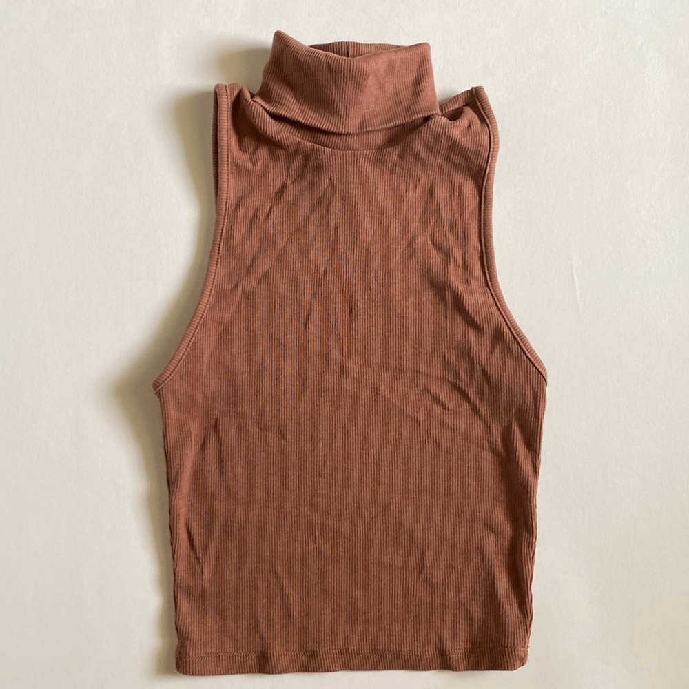 Zara Cropped Turtleneck Sleeveless Top
